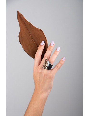 Silver-Gold Ring.