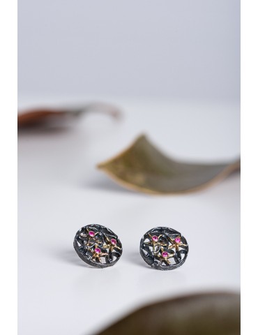 Silver Gold Earrings with...