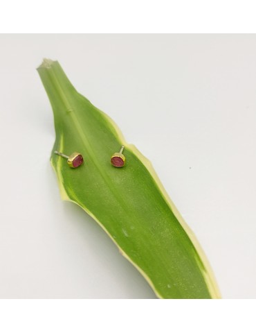 Silver Gold Earrings With...