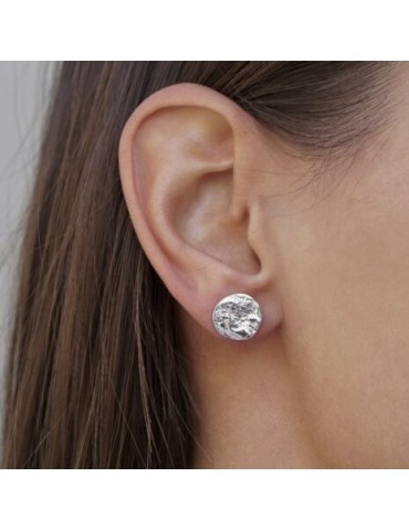 Ασημένια Σκουλαρίκια.