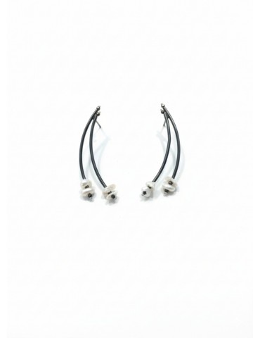 Silver Earrings with...