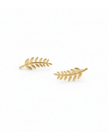 Ασημένια Επίχρυσα Σκουλαρίκια.