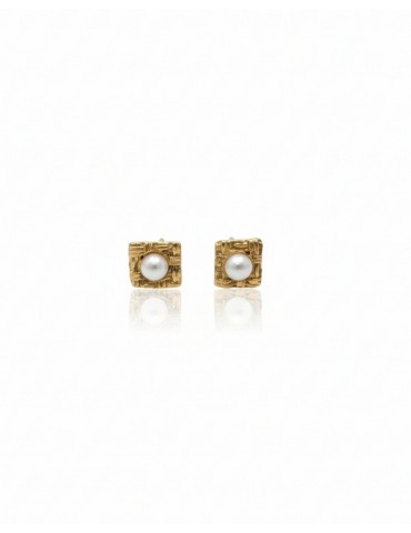 Ασημένια Επίχρυσα Σκουλαρίκια.