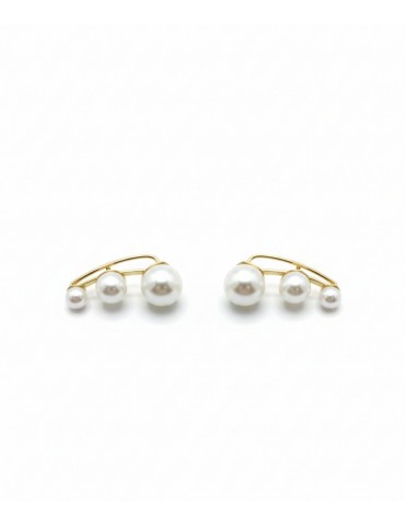 Silver Earrings with...