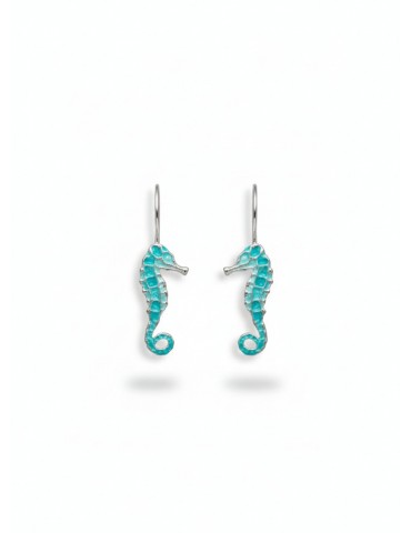 Silver Earrings with Enamel.