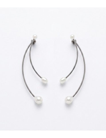Silver Earrings with...